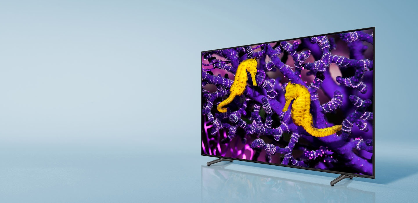 A crowd-pleasing TV with rich details​