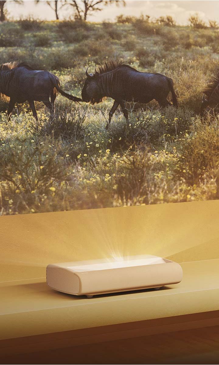 Not just a projector, a hub of entertainment