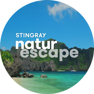 Stingray Naturescape 1415