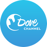 Dove Channel 1091
