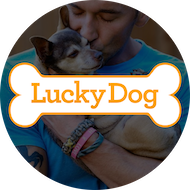 Lucky Dog 1068