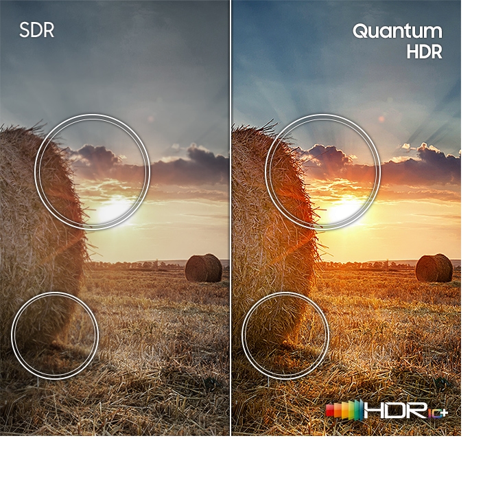65-Inch 4K QLED TV (2021) With Quantum Processor 4K | Samsung US