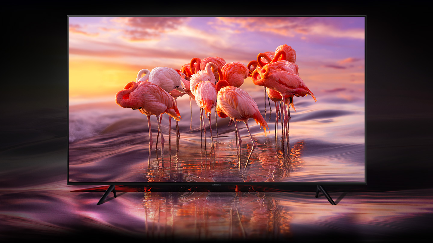 Flamingo Not Online Dating Loud Roblox Id