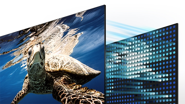 Samsung Smart TV de 50 pulgadas Serie QLED Q80A – 4K UHD Direct Full Array  Quantum HDR 12x con Alexa incorporada (QN50Q80AAFXZA, modelo 2021)