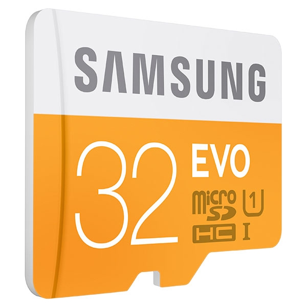 Samsung microSDHC Pro 32 Go Classe 10 (sans Adaptateur) (MB-MG32D