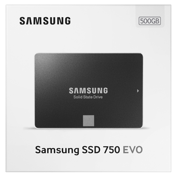 moral teori tåbelig SSD 750 EVO 2.5” SATA 500GB Memory & Storage - MZ-750500BW | Samsung US