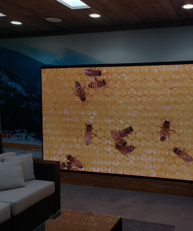 LCD Video Walls