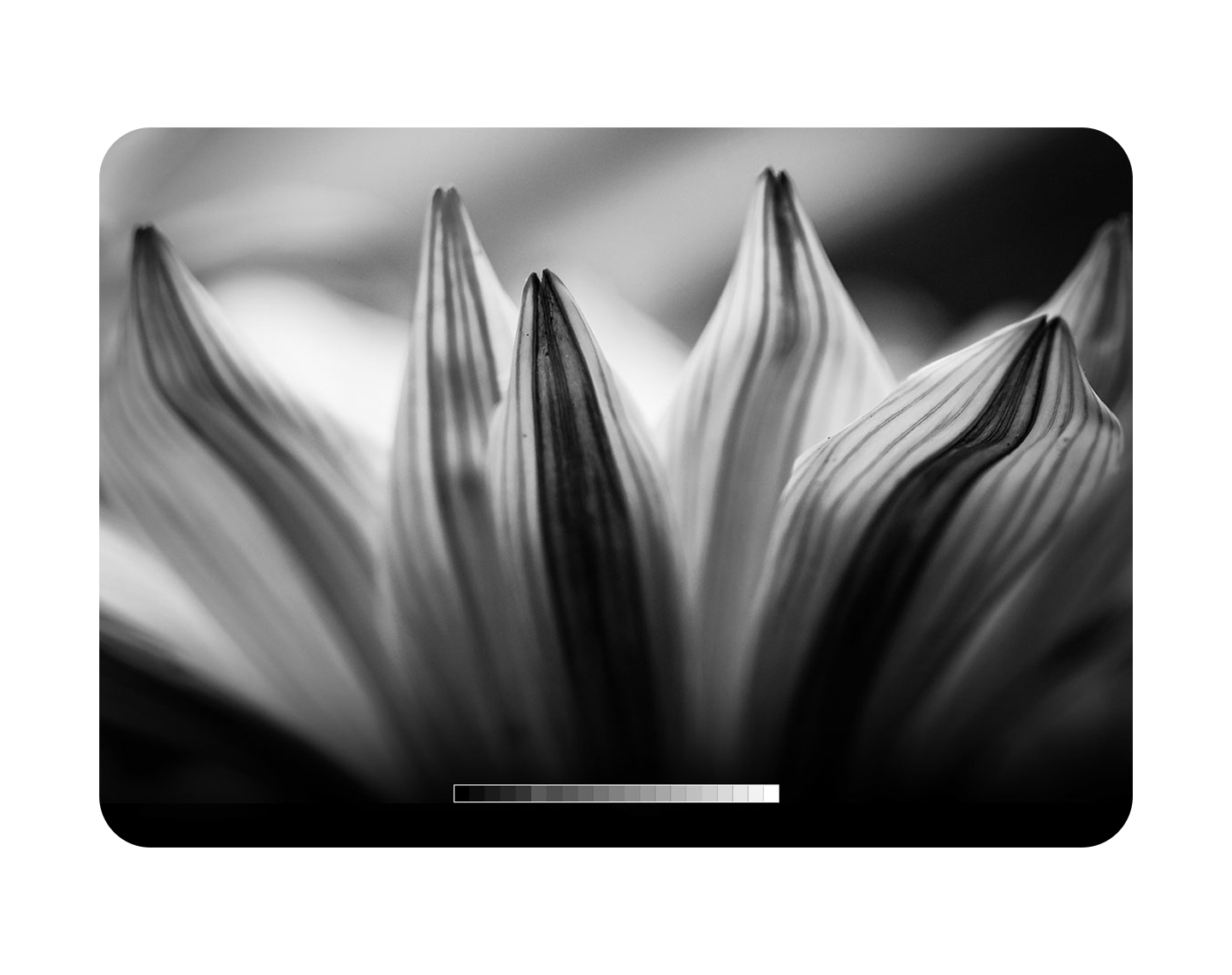 Continuous natural shading