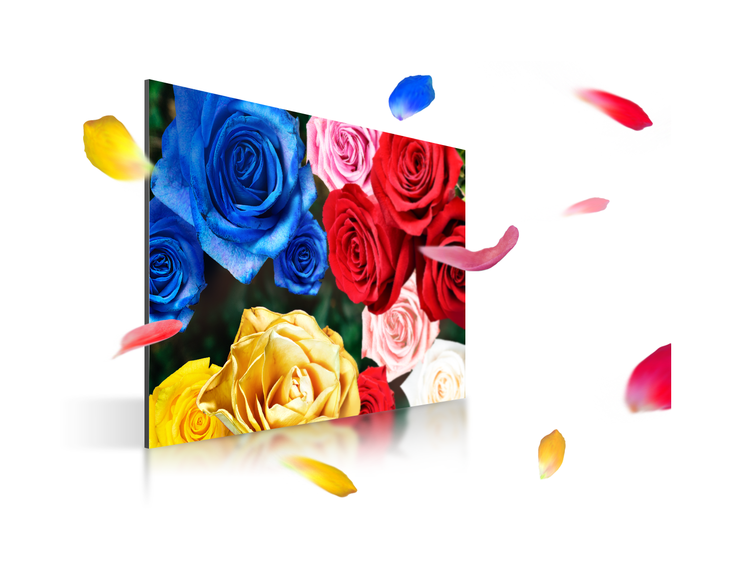 Superior color purity