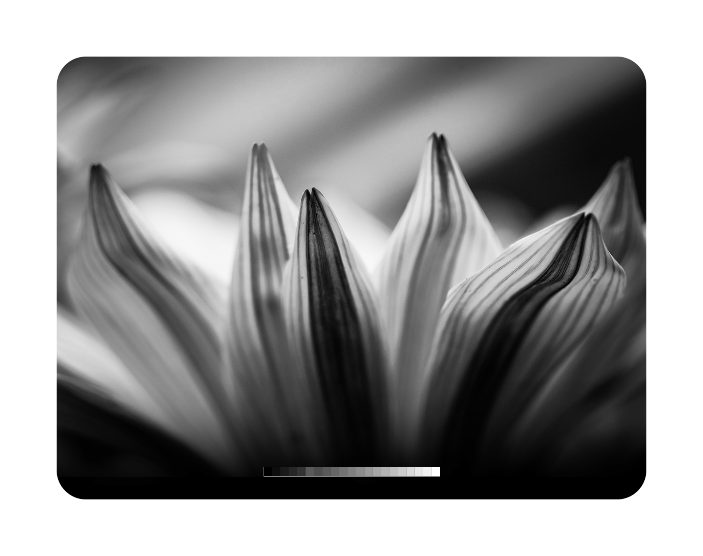 Continuous natural shading