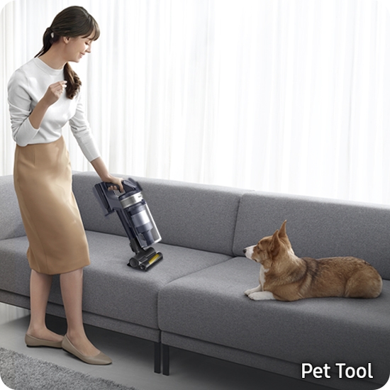 Jet™ 75 Pet Pet Tool picking up pet hair