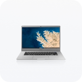 Business Chromebooks
