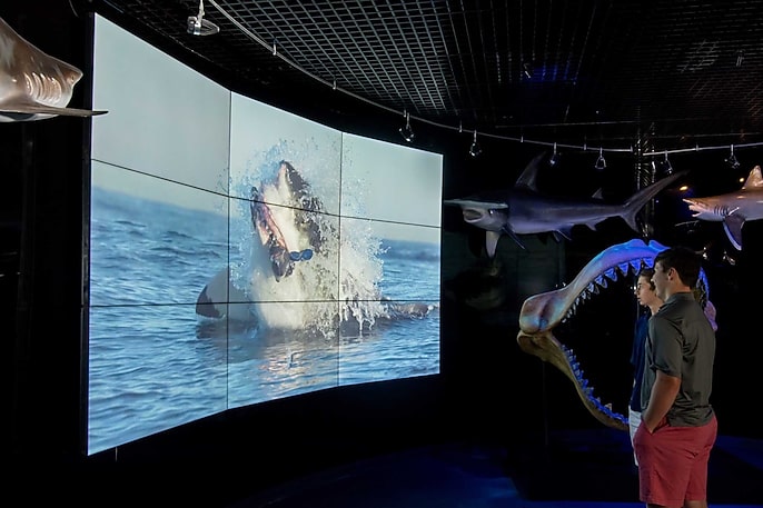 Digital Displays Bring the Wonders of Wildlife Indoors Digital Displays Bring the Wonders of Wildlife Indoors