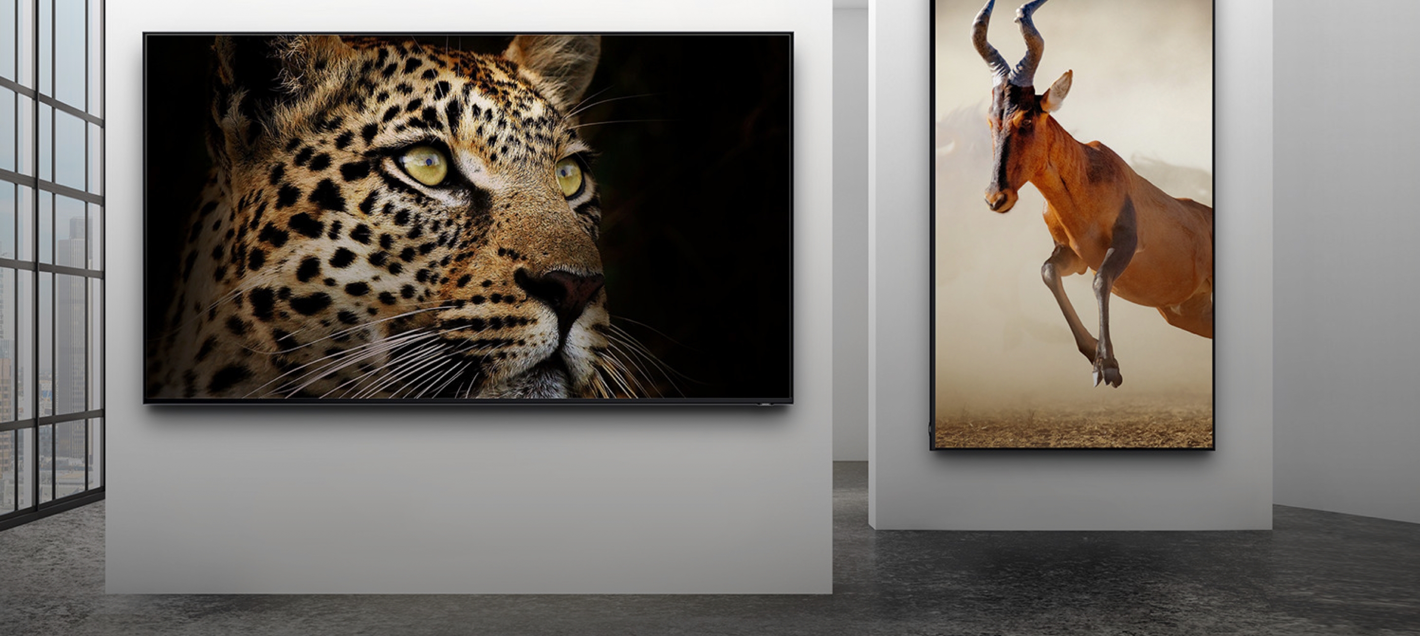QLED 8K displays