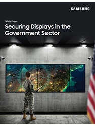 Securing Displays in the Government Sector