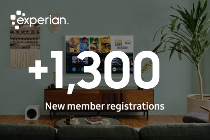 Increasing Website Traffic for Experian