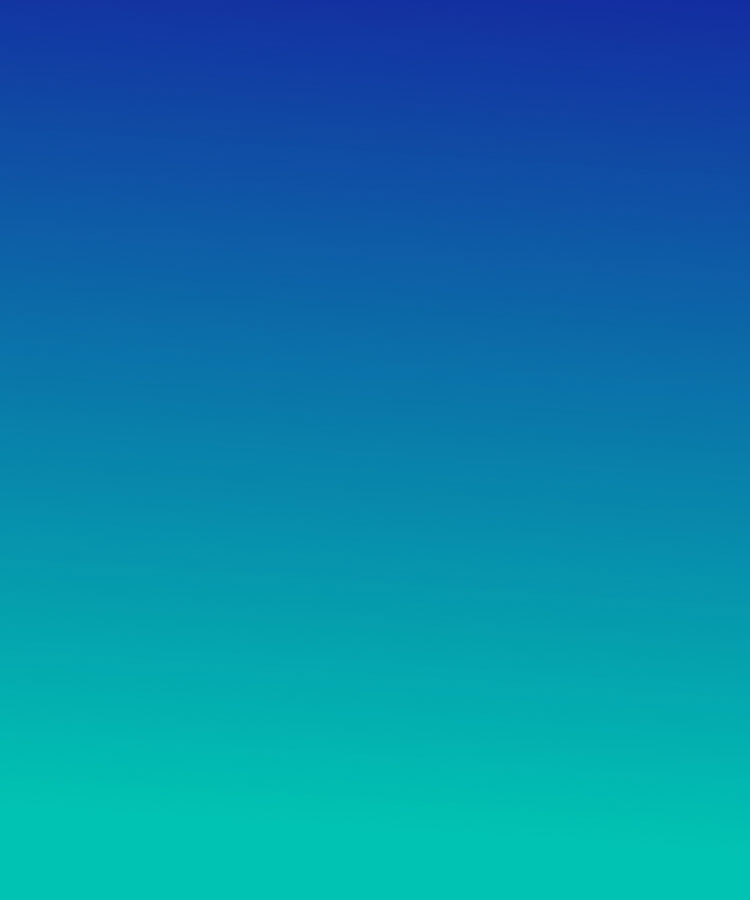 Is your media plan actually working?