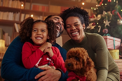 Seasonal & Audience Packages