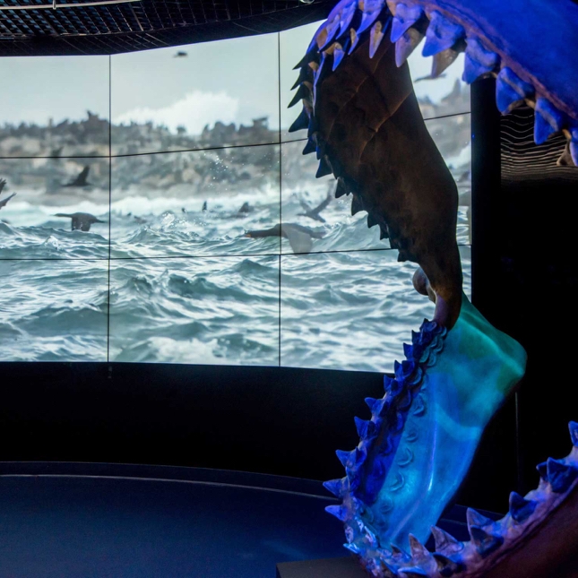 Defining a New Possible