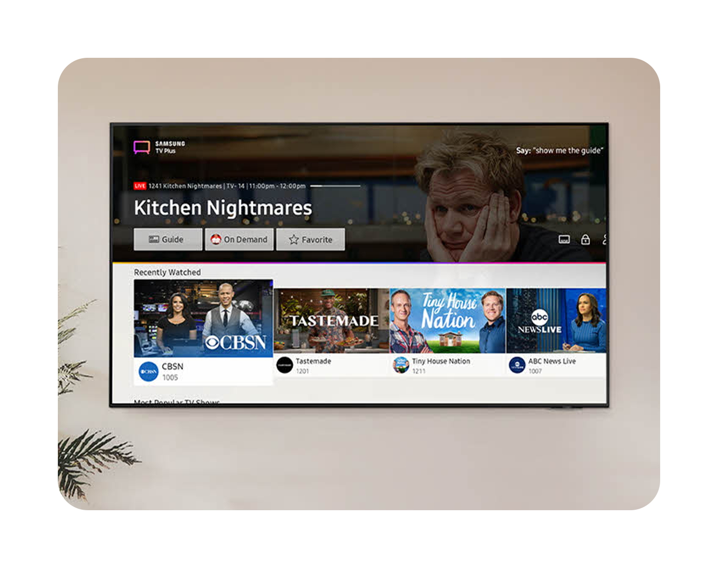 Free TV, no strings attached, Samsung TV Plus (US)