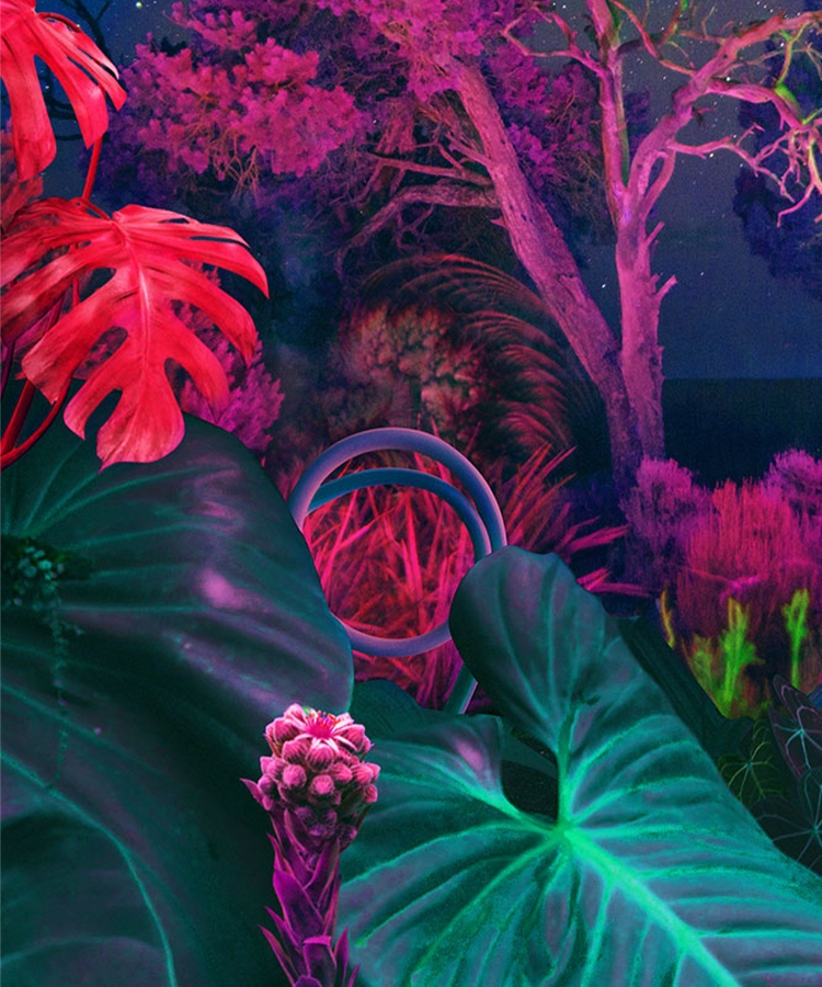 Lifelike color, in its purest state with fine crystal Dynamic Crystal Color