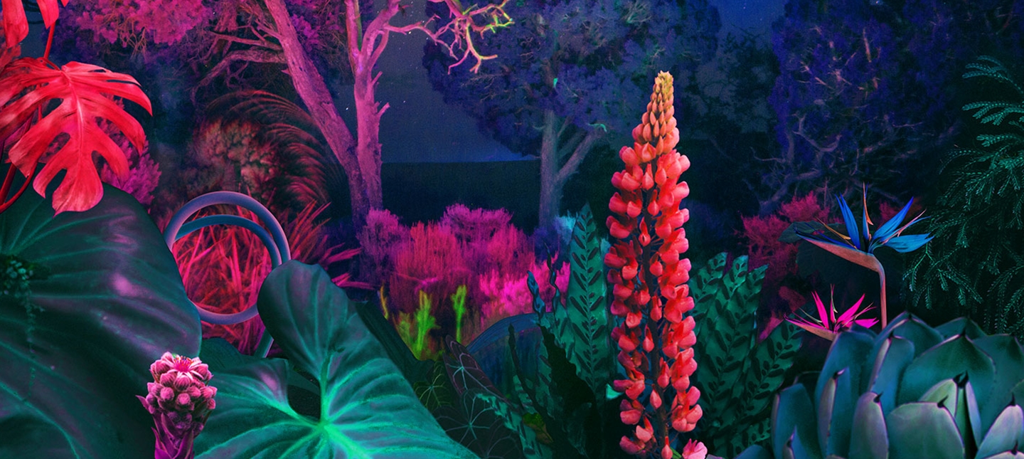 Dynamic Crystal Color sample image