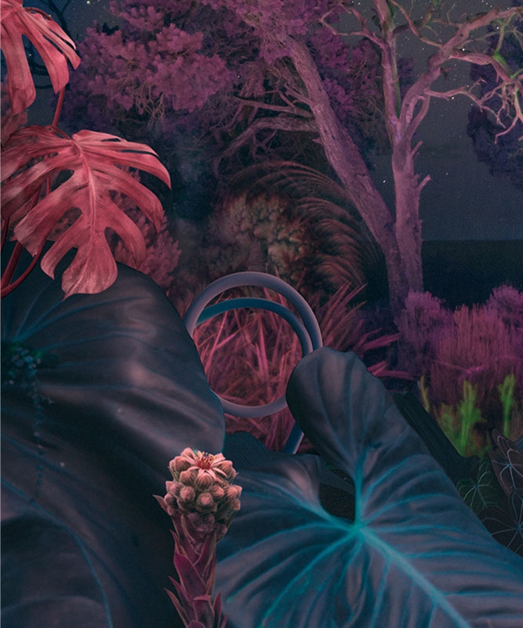 Lifelike color, in its purest state with fine crystal Dynamic Crystal Color