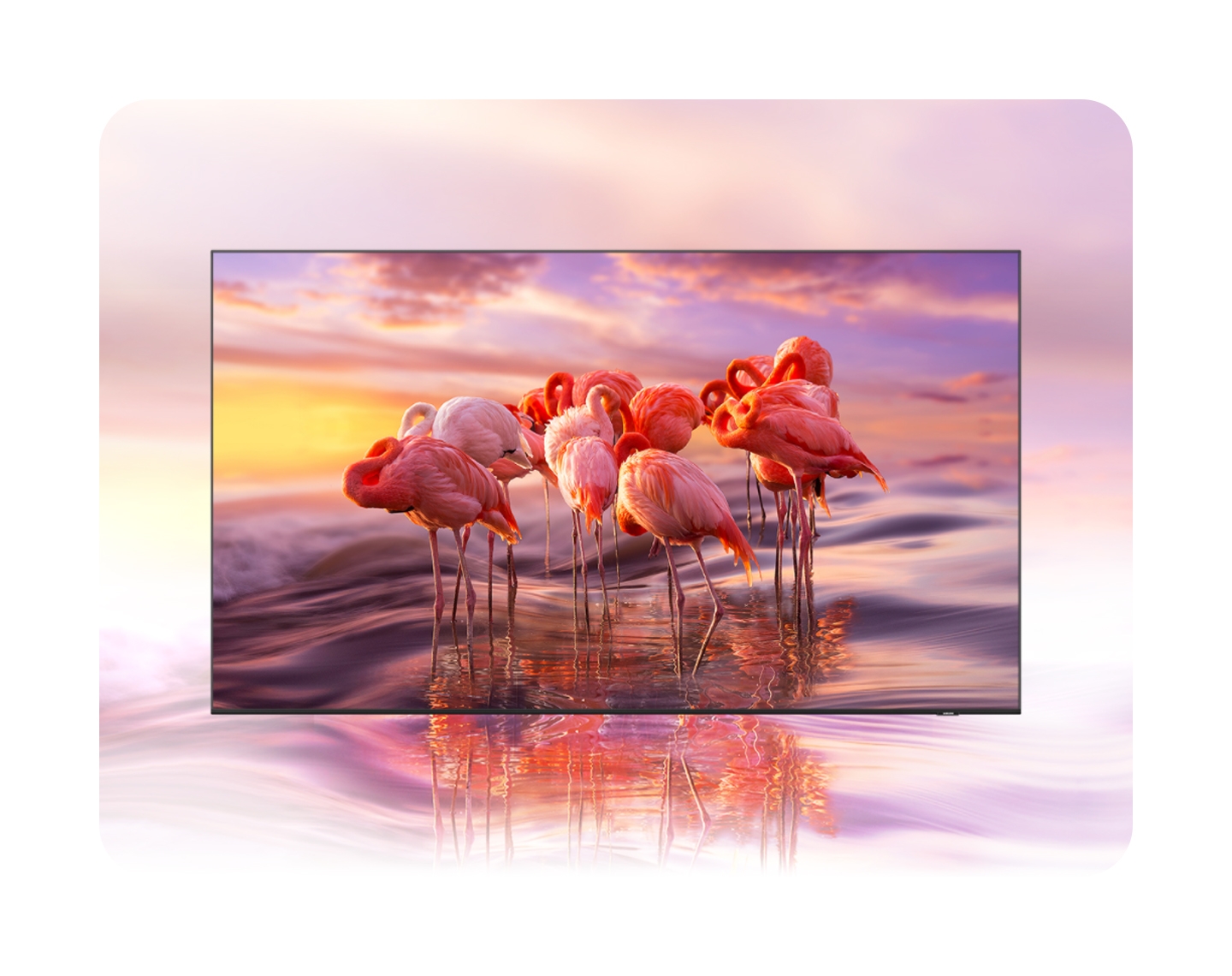 Breathtaking QLED 4K UHD Smart for Healthcare and Guest Engagement