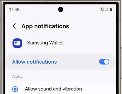 Allow notifications activated for Samsung Wallet