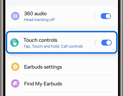 Touch controls option turned on in the Galaxy Wearable app