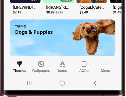 Themes tab displayed in the Galaxy Themes app