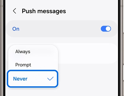 Galaxy phone screen displaying 'Push messages' settings with the option 'Never' selected for message delivery prompts