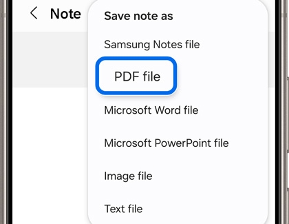 PDF file option on Samsung Notes app