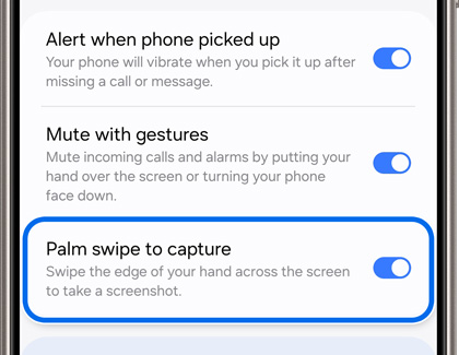 Switch highlighted next to Palm swipe to capture