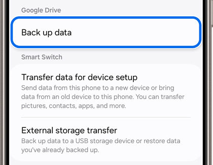 Option to back up data to Google Drive