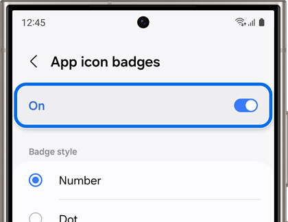App icon badges setting options