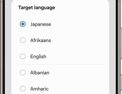 Japanese selected under Target language