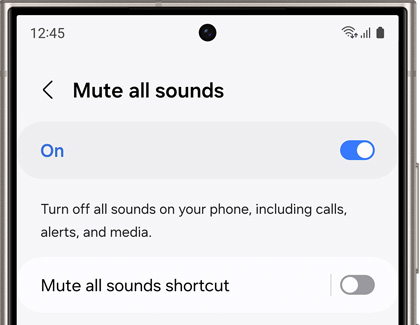 On switch enabled under Mute all sounds