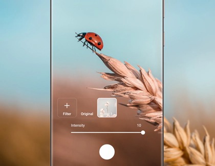 Using My Filter feature on a Galaxy phone to photograph a ladybug