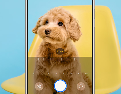 Zoom in function on a Galaxy phone with the shutter button highlighted while taking a picture of a dog