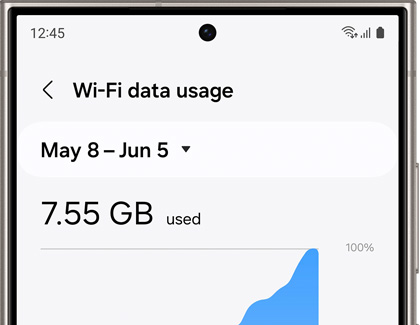 Wi-Fi data usage screen