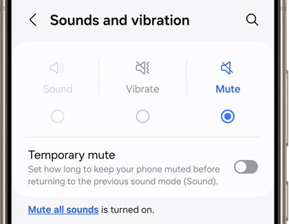 Mute selected under Sounds and vibration settings screen