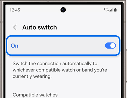 On switch enabled and highlighted for Auto switch