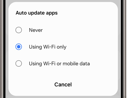Using Wi-Fi only selected in the Auto update apps prompt