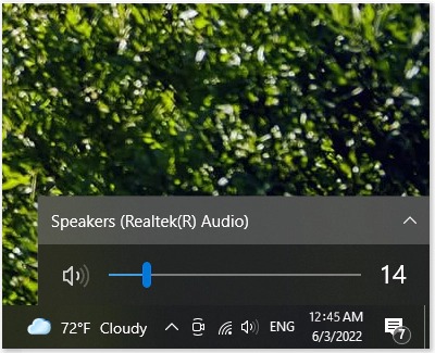 Volume control interface on a PC showing the output set to 'Speakers (Realtek(R) Audio)' with the volume level at 14, displayed over a blurred green leafy background.