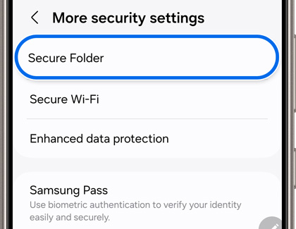 Galaxy phone screen showing the 'More security settings' menu with the option 'Secure Folder' highlighted. Other options listed include 'Secure Wi-Fi', 'Enhanced data protection', and 'Samsung Pass' with a description of using biometric authentication for secure identity verification.