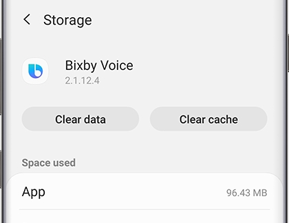 Storage options for Bixby Voice