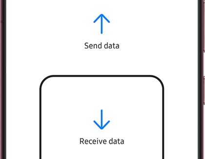 Send data and Receive data options in the Smart Switch app