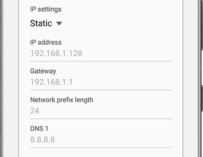 A list of Static IP settings