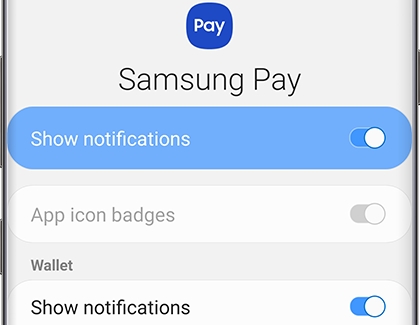 Samsung Pay Notifications Settings menu